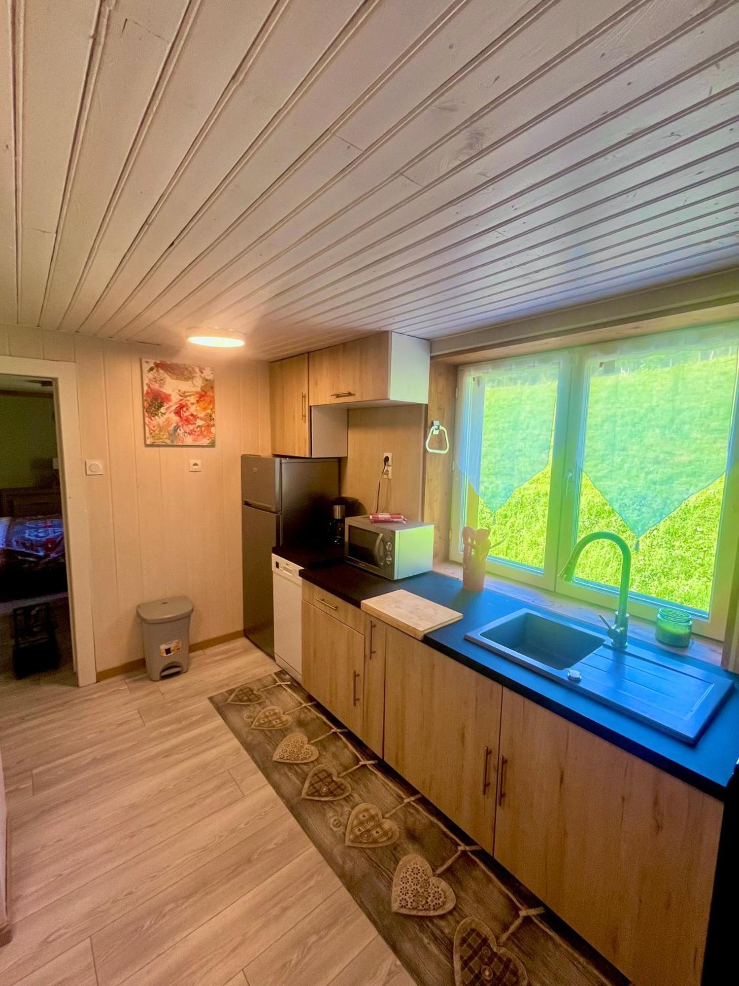 Appartement Dans Maison Familiale Bellevaux Buitenkant foto